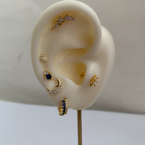 Piercing Luccy