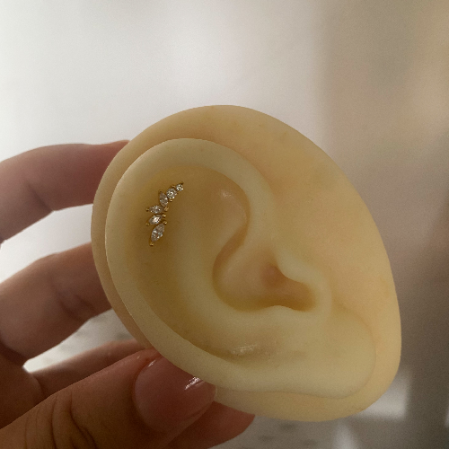 Piercing Luccy