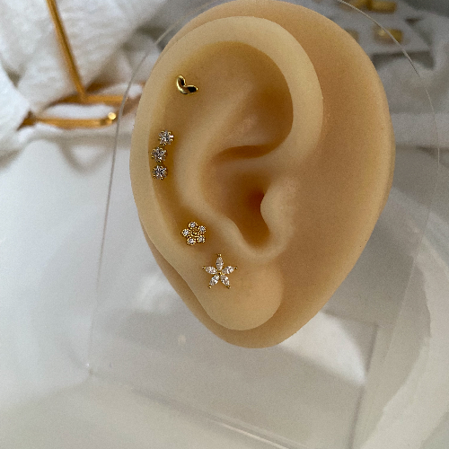 Piercing Gusu