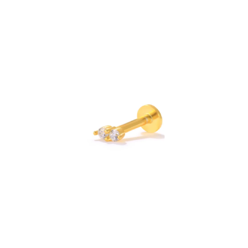 Piercing Lizys
