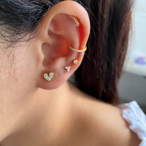 Piercing Leidis