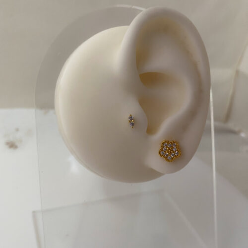 Piercing Lizys