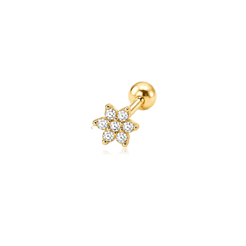 Piercing Marion