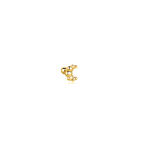 Piercing Suhi