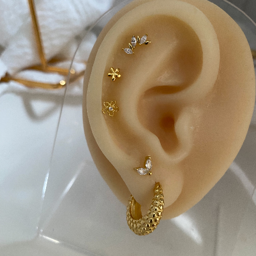 Piercing Renee White