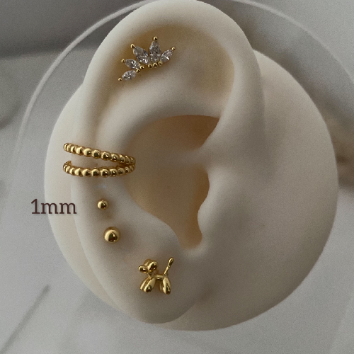 Piercing Ehan
