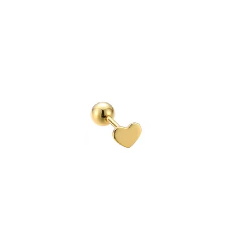 Piercing Leine
