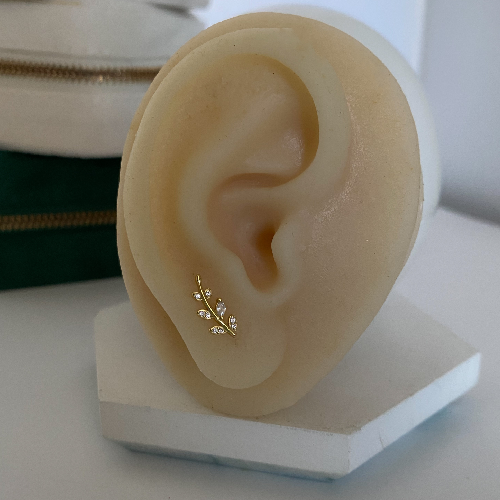 Aretes Karol