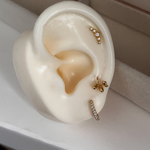 Piercing Fina