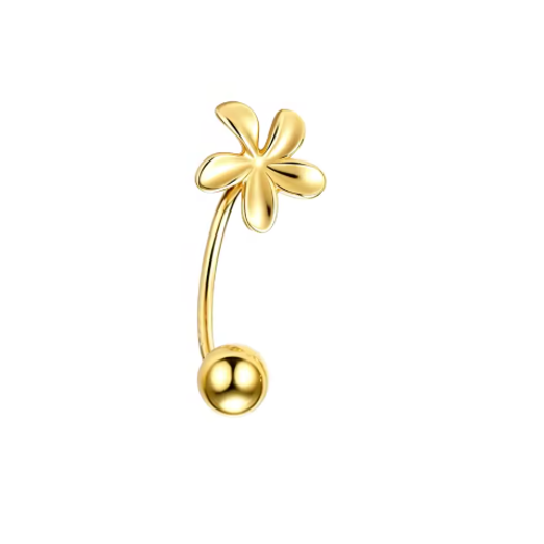 Piercing Aina