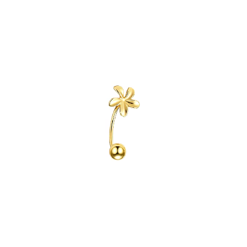 Piercing Aina