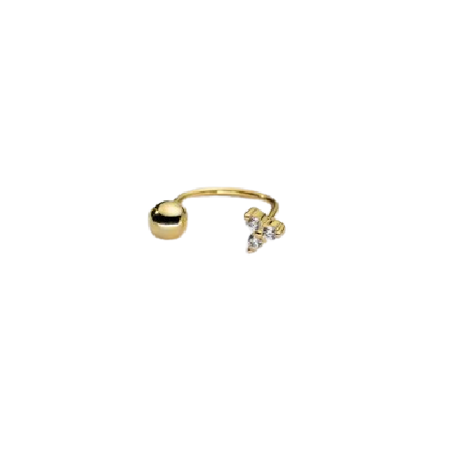 Piercing Aila