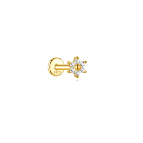 Piercing Ali